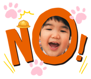 505562556