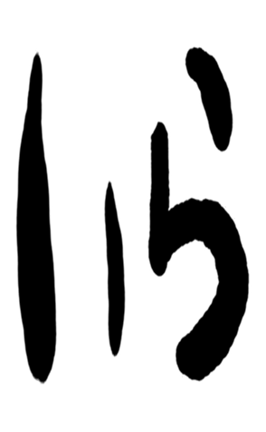 505562919