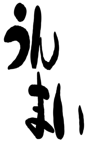 505562923
