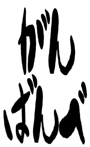 505562925