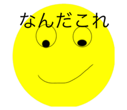 505563491