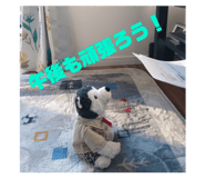 505574340