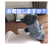 505574345