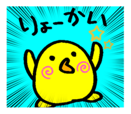 505578093