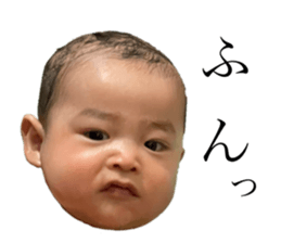 505586154
