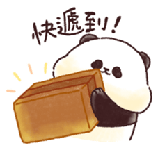 505587531