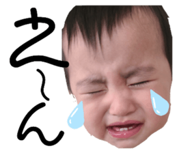 505596550
