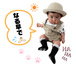 505597426