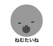 505598985