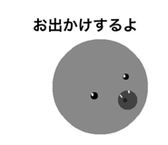 505598987