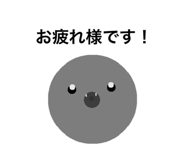 505598988