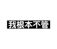 505611858