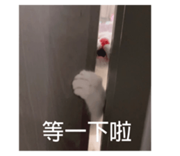 505621616