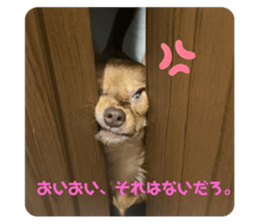 505625750