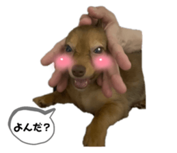 505625751