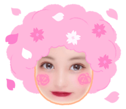 505627869