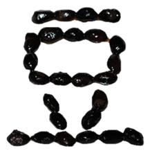 505634275