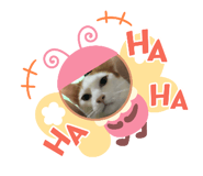 505635769