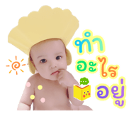 505636527