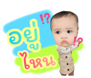 505636528