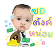 505636529