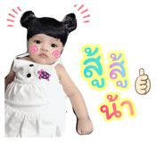 505636537
