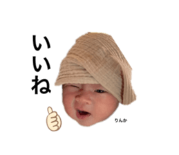 505637330