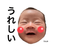505637338