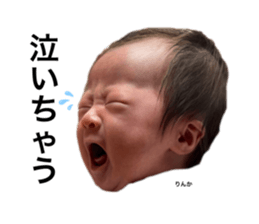 505637339