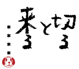 505655384