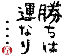 505655409