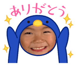 505662353