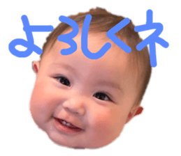 505665814