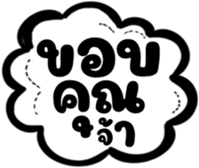 505675403