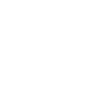 505675407