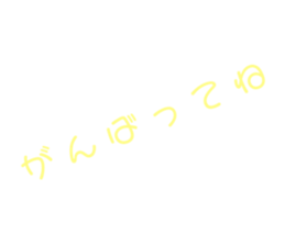 505675749