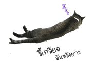 505678326