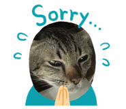 505678331