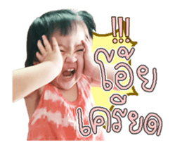 505684713