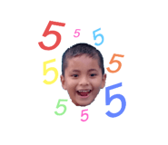 505708954