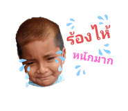 505708956