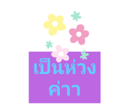 505709079