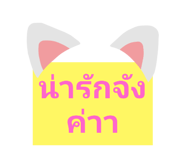 505709088