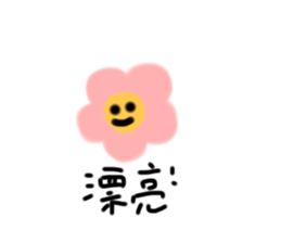 505709153