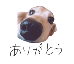 505723495