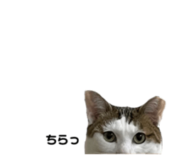 505725744