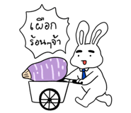 505762649