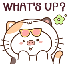 505818455