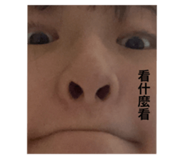 505846598