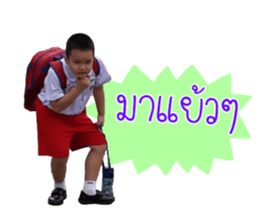 50585437
